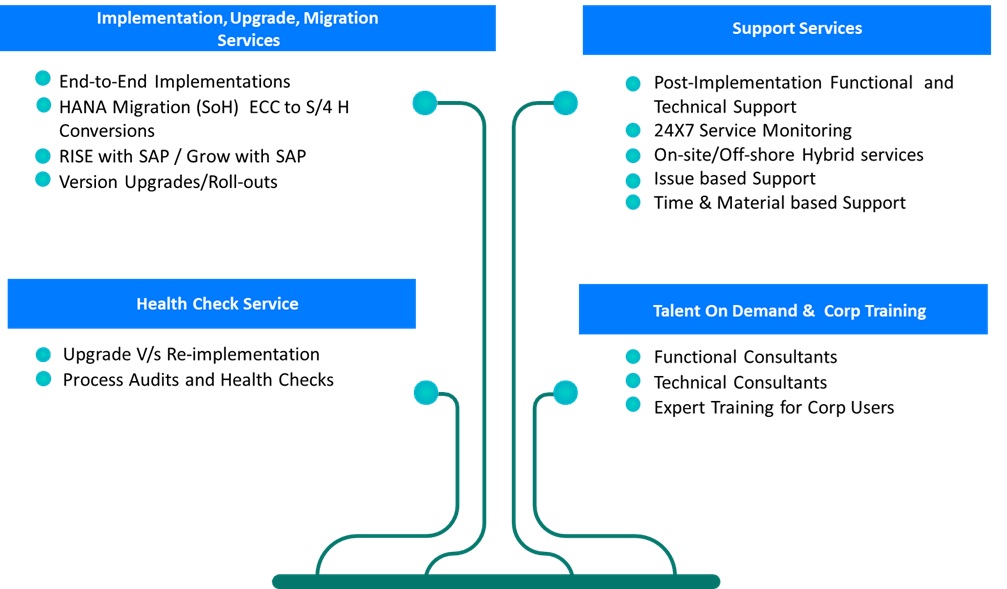 SAP Offerings